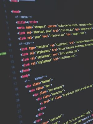 DISEÑO Y PROGRAMACIÓN WEB